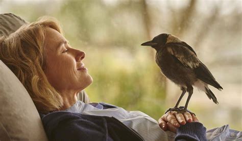 Netflix’s Penguin Bloom: The Story of a Mother Overcoming the Odds