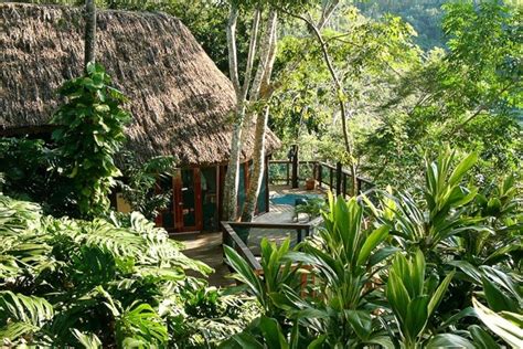 Belize's Best Jungle Lodges To Stay In 2021/2022 | Luxury Jungle Lodges