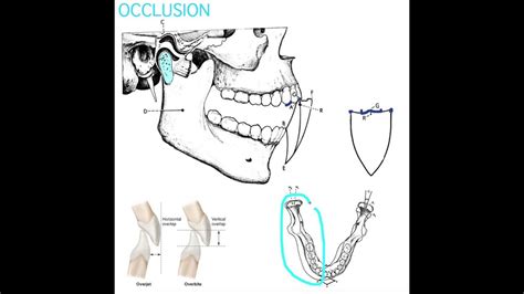 Occlusion Part 2 - YouTube