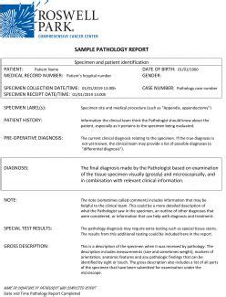 Pathology Report 101 | Roswell Park Comprehensive Cancer Center ...