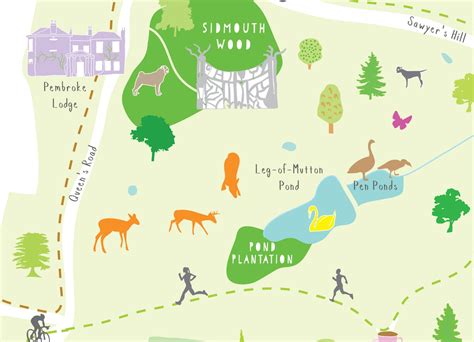 Illustrated hand drawn Map of Richmond Park by UK artist Holly Francesca.