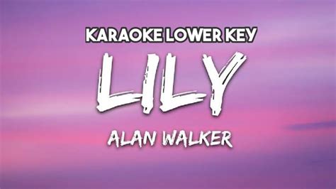 Alan Walker Lily Karaoke Lower Key Chords - Chordify