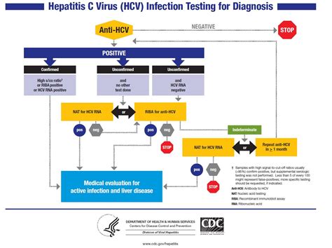 Hepatitis C laboratory tests - wikidoc