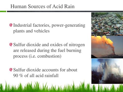 PPT - ACID RAIN PowerPoint Presentation, free download - ID:2170150