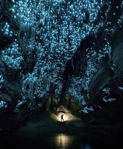 Glow worms in the caves of New Zealand : r/interestingasfuck