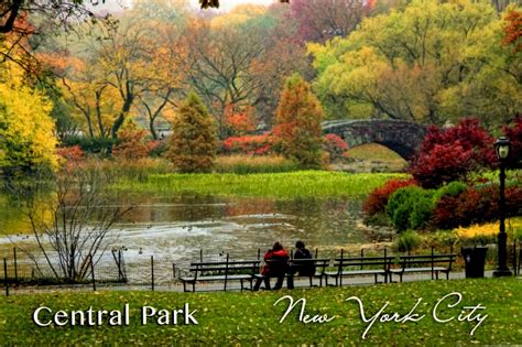 🔥 [50+] Central Park Fall Wallpapers | WallpaperSafari