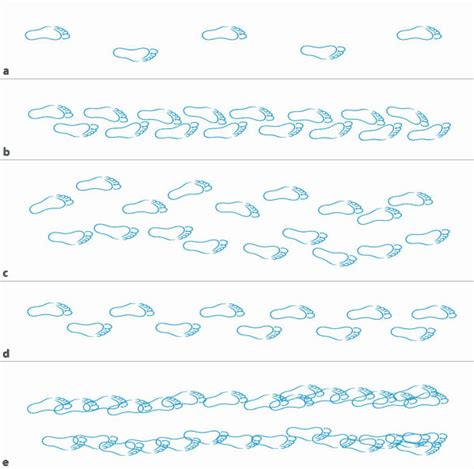 Graphic representation of the step sequence in classical gait ...