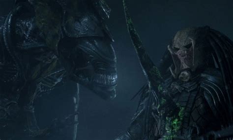 Alien vs predator 3 funny - armygawer