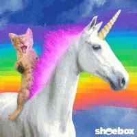 Rainbow unicorn -gif machine gun - qustdecor