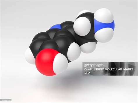 Serotonin Molecule Computer Model Showing The Structure Of A Molecule Of The Neurotransmitter ...