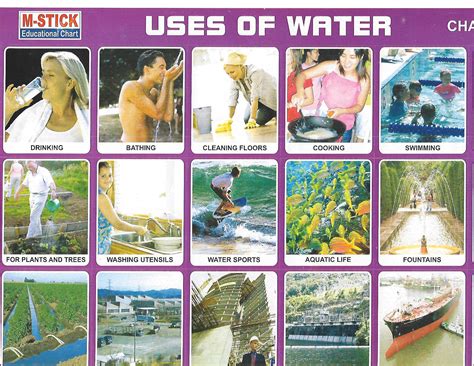 Sticker - Uses of Water - Online Stationery Trivandrum