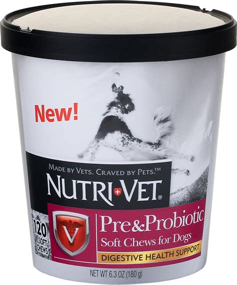 The Best Probiotics For Dogs - Dogtime