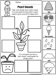 Las mejores 65 ideas de Partes de la Planta | partes de la planta, ciclos de vida de las plantas ...