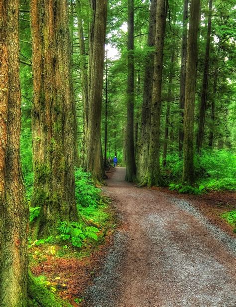 Travel Photo: Sitka National Historical Park