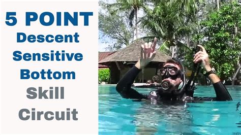 5 Point Descent Sensitive Bottom • Divemaster Instructor PADI IDC ...