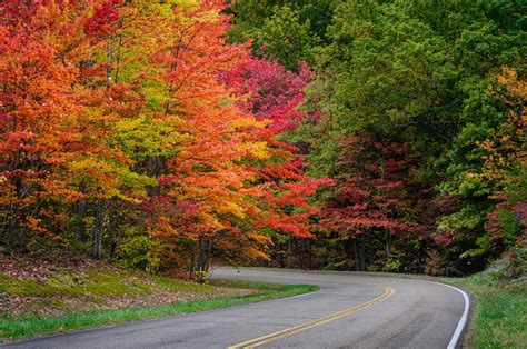 Skyline Drive – The Best Place to Enjoy Fall Foliage - Avenue Realty