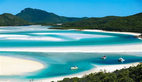 Best Beach: Whitehaven Beach, Whitsunday Island, Qld | Australian Traveller