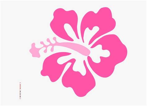 Simple Hawaiian Flower Drawing - Hibiscus Clip Art PNG Image | Transparent PNG Free Download on ...