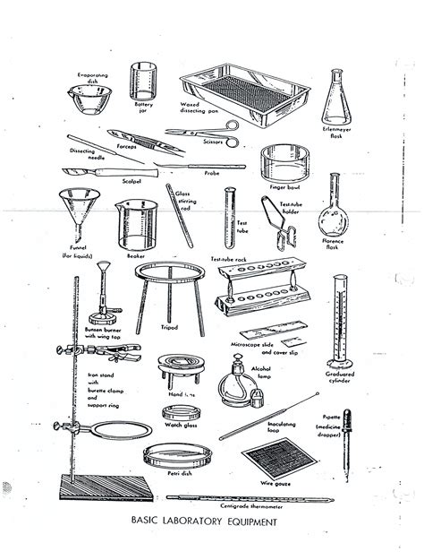 Basic Laboratory Equipment List