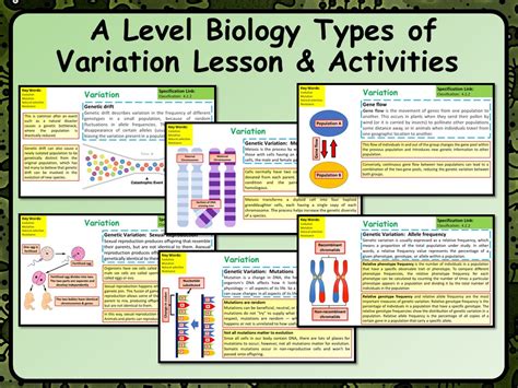 A Level Biology Types of Variation Lesson & Activities | Teaching Resources