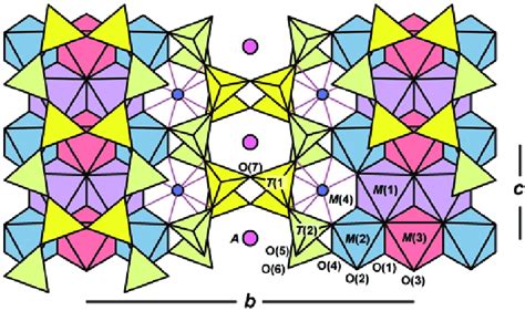 The C2/m amphibole structure projected onto (100); polyhedra: T(1) =... | Download Scientific ...