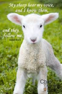 155 best images about † all God's CREATURES ...great n small † on Pinterest | I will, Strength ...