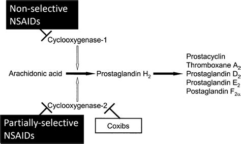 Mechanism of action of NSAIDs. (Redrawn from Howard and Delafontaine [84]) | Download Scientific ...