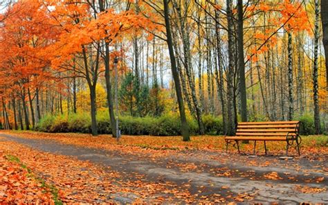 Wallpaper Beautiful autumn park, trees, leaves, bench 3840x2160 UHD 4K Picture, Image