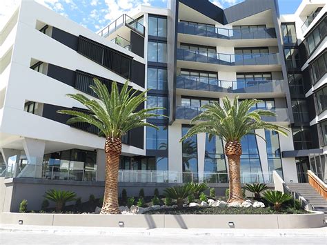 Sandy Hills Apartments - Canary Island Palms