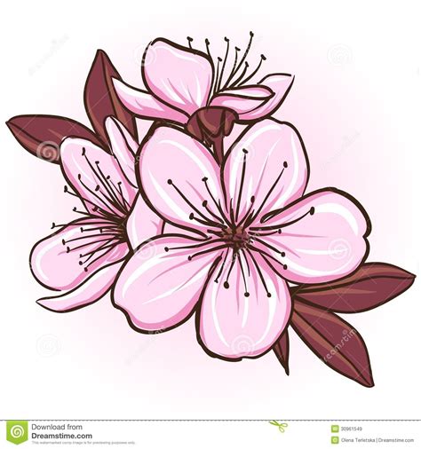 Pin by Gabriela Castro on ☆ algo.... | Cherry blossom vector, Cherry ...