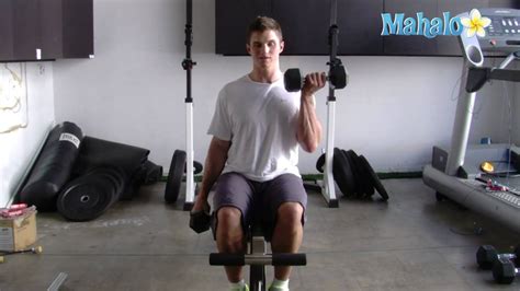 How To Do Seated Bicep Curls - YouTube