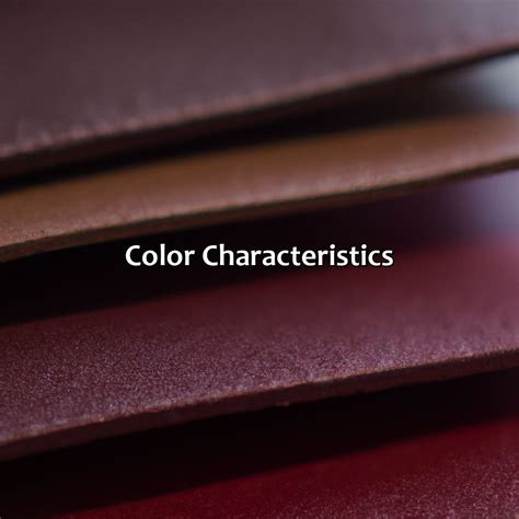 What Color Is Cordovan - colorscombo.com