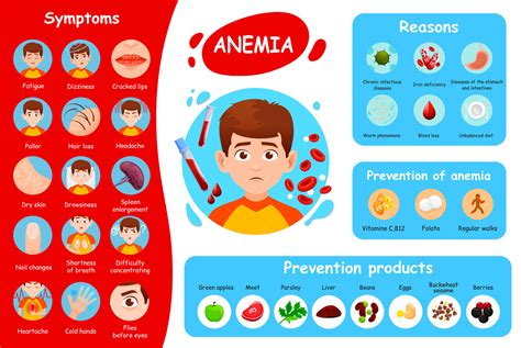 anemia síntomas, deficiencia de hierro póster 25449135 Vector en Vecteezy