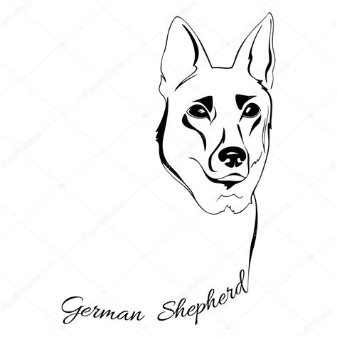 German Shepherd Head Drawing at GetDrawings | Free download