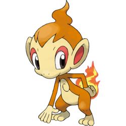 Turtwig Chimchar And Piplup Evolution