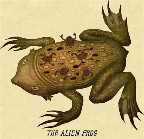 Creepy amphibian art to kickstart your Halloween | art-and-design ...