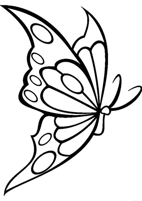 a black and white drawing of a butterfly with dots on it's back wing