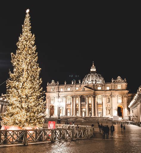 Vatican Christmas Tree 2024 - History & More Details