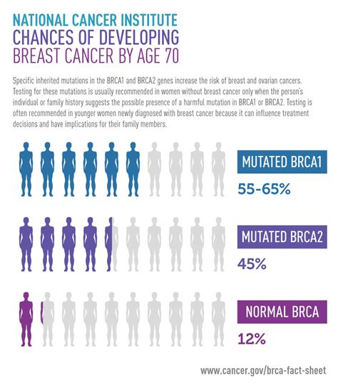 BRCA Testing in Young Cancer Patients - National Cancer Institute