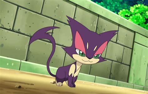 12 Facts About Purrloin - Facts.net