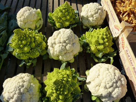 cauliflower_kohl_cabbage - Nourish