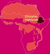Ethiopian Highlands On Africa Map | Zip Code Map