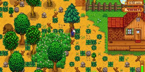 Pine Tree in Stardew Valley: Growth & Uses