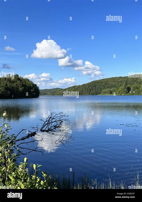 Summer in Sweden Stock Photo - Alamy