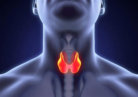 Early signs of medullary thyroid cancer and common symptoms