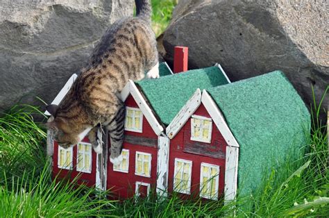 Discover Iceland’s Enchanting Huldufólk: The Hidden People and Their Tiny Houses | STREET ART UTOPIA