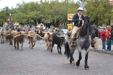 Fort Worth Herd Longhorn Cattle Drive – Fort Worth Stockyards