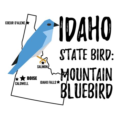 Idaho State Bird - Bird Watching Academy