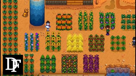 Do You Need To Water Grown Crops Stardew? Top 6 Best Answers - Musicbykatie.com