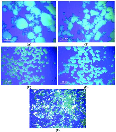 Images from polarized light microscopy on powder morphology of API and ...